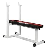 iROTEC (アイロテック) プレスベンチ K/ベンチプレス バーベル ダンベル 筋トレ トレーニングベンチ ウェイトトレーニングベンチ