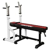 iROTEC (アイロテック) ハイパーフォールディング ベンチプレス台 100kg
