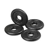 iROTEC (アイロテック)アイアンプレート 穴径29mm レギュラータイプ/ダンベル バーベル 筋トレ 筋トレ器具 (アイアンプレート0.5KG 4枚) 500g