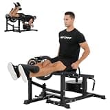 RITFIT レッグエクステンションマシン カールマシン トレーニングベンチ フラットベンチ 下半身強化 体幹トレーニング 12+4角度調節可能 総耐荷重320KG ホームジム 在宅トレーニング 大腿四頭筋 ハムストリング (ブラック) 320kg