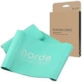 norde (ノルデ) トレーニングチューブ 幅10x円周70cm 筋トレゴムバンド ヒップバンド エクササイズバンド ストレッチバンド リハビリ 美尻バンド norde ノルバン (スタンダード)