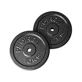 PROIRON ダンベル プレートバーベル プレート 10kg 2個セット 穴径25mm 鋳鉄製 トレーニングバンパープレート 10kg