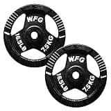 Generic WILD FIT ワイルドフィット アイアン レギュラー プレート 7.5kg 2枚セット 直径293mm 厚み17~32mm 7.5kg