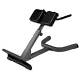 iROTEC (アイロテック) バックエクスHPM バックエクスベンチの上級タイプ 29kg